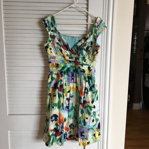Gorgeous Adrianna Papell Cotton Floral Dress
